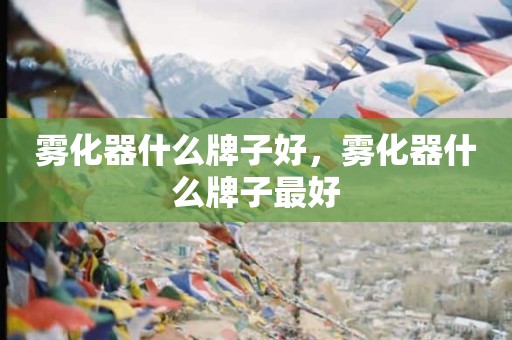 雾化器什么牌子好，雾化器什么牌子最好