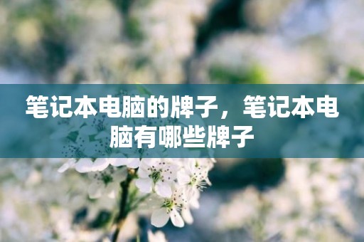 笔记本电脑的牌子，笔记本电脑有哪些牌子