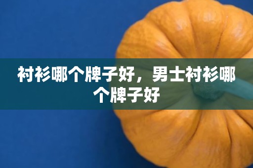 衬衫哪个牌子好，男士衬衫哪个牌子好