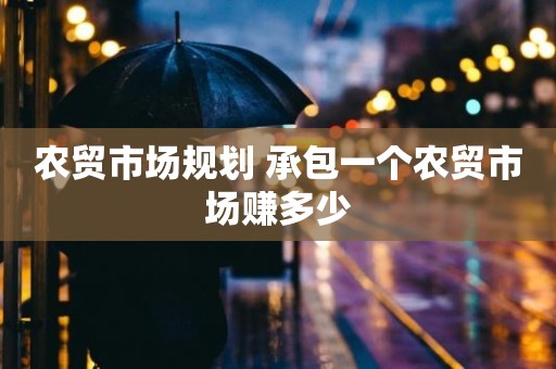 农贸市场规划 承包一个农贸市场赚多少