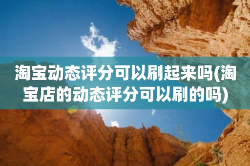 淘宝动态评分可以刷起来吗(淘宝店的动态评分可以刷的吗)