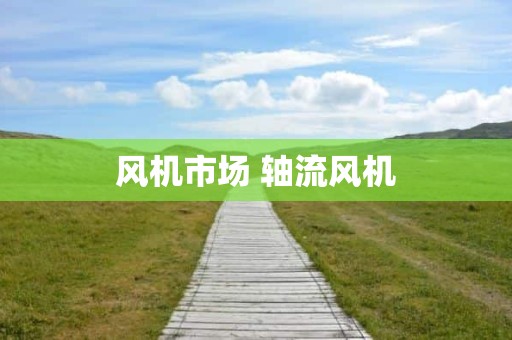 风机市场 轴流风机