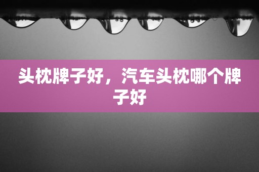 头枕牌子好，汽车头枕哪个牌子好