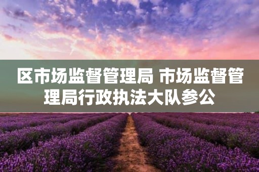 区市场监督管理局 市场监督管理局行政执法大队参公