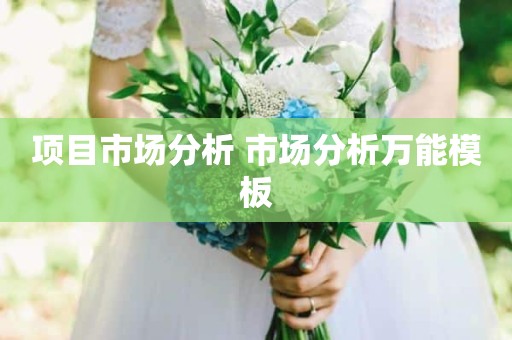 项目市场分析 市场分析万能模板