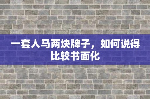 一套人马两块牌子，如何说得比较书面化