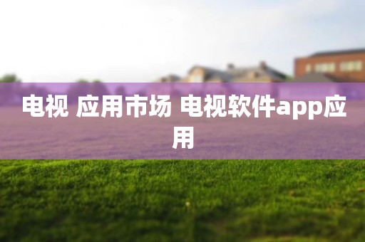 电视 应用市场 电视软件app应用