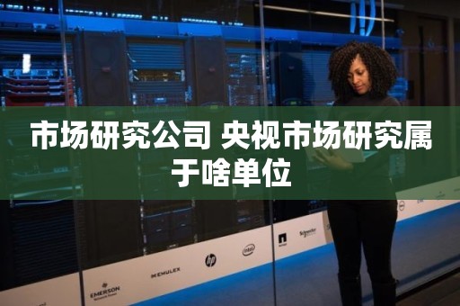 市场研究公司 央视市场研究属于啥单位