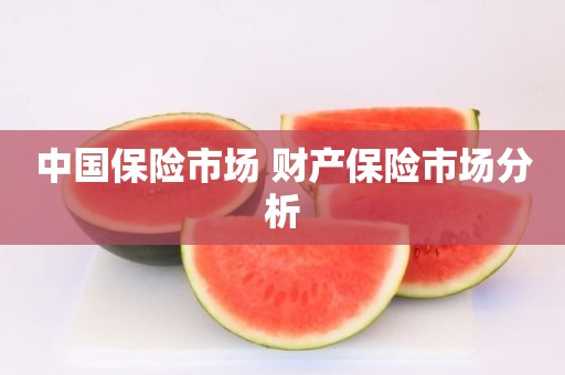 中国保险市场 财产保险市场分析