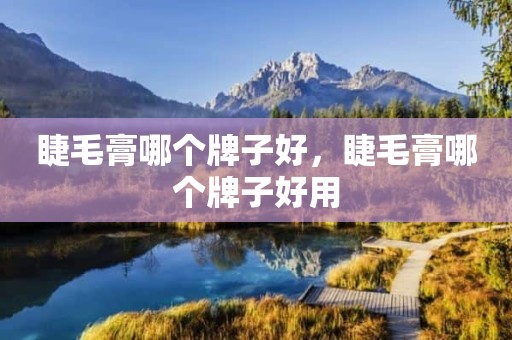 睫毛膏哪个牌子好，睫毛膏哪个牌子好用