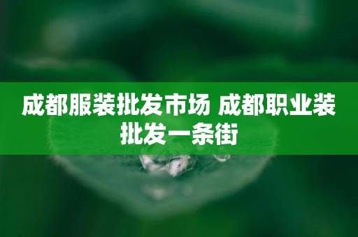 成都服装批发市场 成都职业装批发一条街