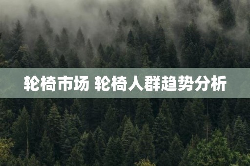 轮椅市场 轮椅人群趋势分析