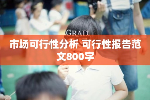 市场可行性分析 可行性报告范文800字