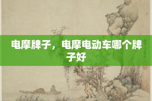 电摩牌子，电摩电动车哪个牌子好
