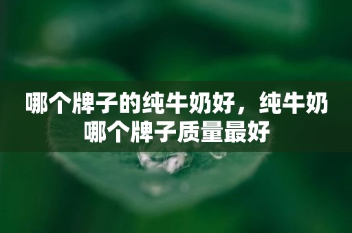 哪个牌子的纯牛奶好，纯牛奶哪个牌子质量最好