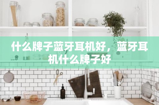 什么牌子蓝牙耳机好，蓝牙耳机什么牌子好