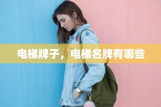 电梯牌子，电梯名牌有哪些