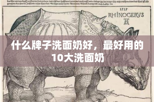 什么牌子洗面奶好，最好用的10大洗面奶
