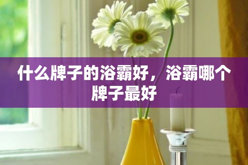 什么牌子的浴霸好，浴霸哪个牌子最好