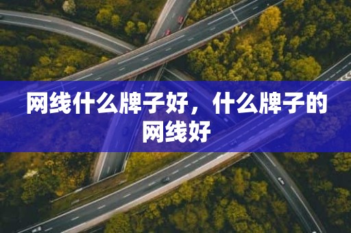 网线什么牌子好，什么牌子的网线好