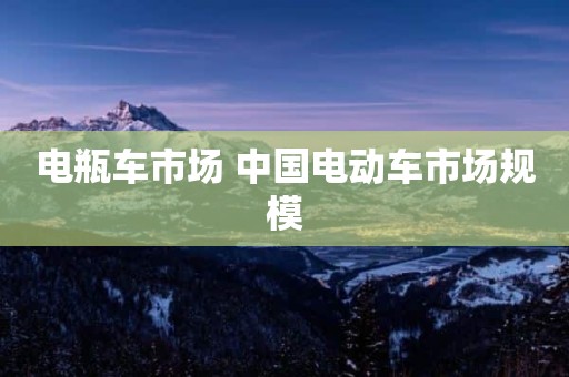 电瓶车市场 中国电动车市场规模