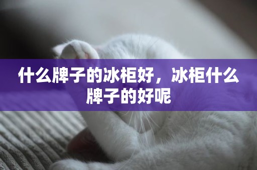 什么牌子的冰柜好，冰柜什么牌子的好呢