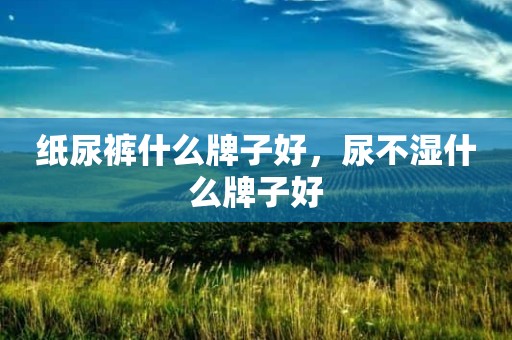 纸尿裤什么牌子好，尿不湿什么牌子好