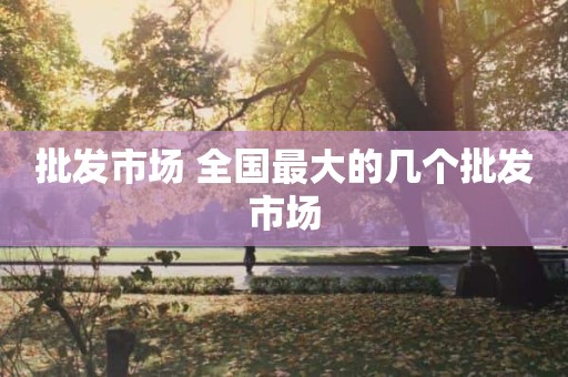 批发市场 全国最大的几个批发市场
