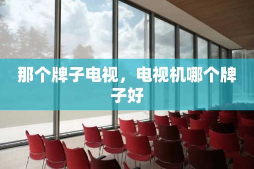 那个牌子电视，电视机哪个牌子好