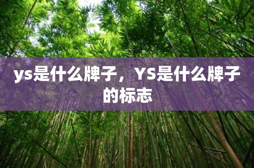 ys是什么牌子，YS是什么牌子的标志