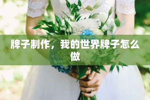 牌子制作，我的世界牌子怎么做