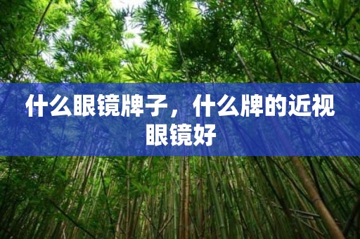 什么眼镜牌子，什么牌的近视眼镜好