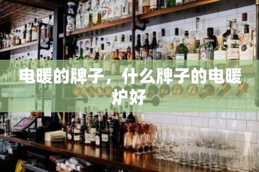 电暖的牌子，什么牌子的电暖炉好