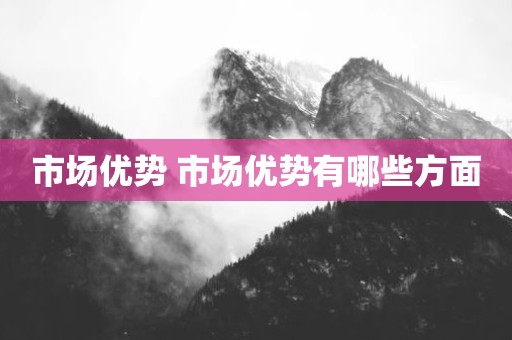 市场优势 市场优势有哪些方面