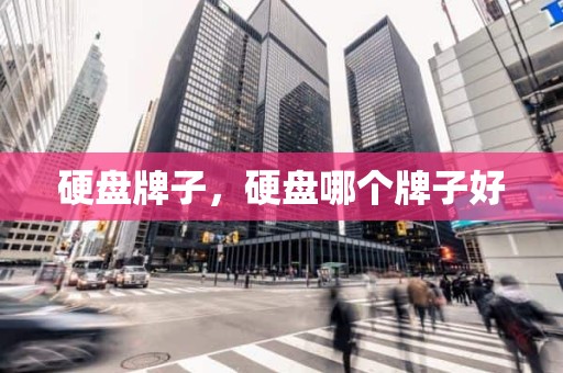 硬盘牌子，硬盘哪个牌子好