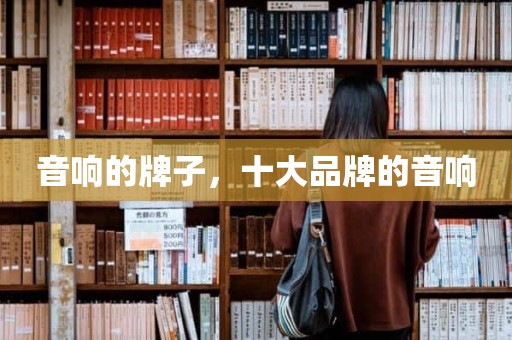 音响的牌子，十大品牌的音响