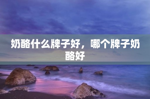 奶酪什么牌子好，哪个牌子奶酪好
