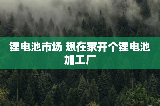 锂电池市场 想在家开个锂电池加工厂