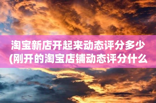 淘宝新店开起来动态评分多少(刚开的淘宝店铺动态评分什么时候开始显示)