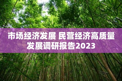 市场经济发展 民营经济高质量发展调研报告2023