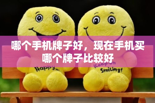 哪个手机牌子好，现在手机买哪个牌子比较好
