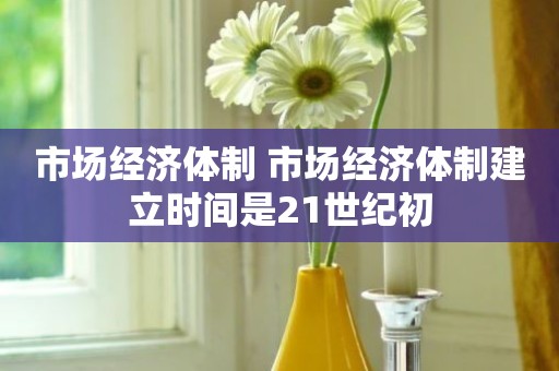 市场经济体制 市场经济体制建立时间是21世纪初
