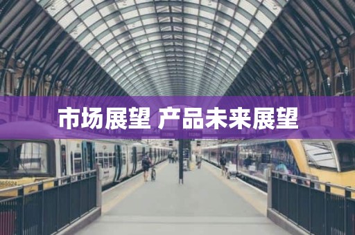 市场展望 产品未来展望
