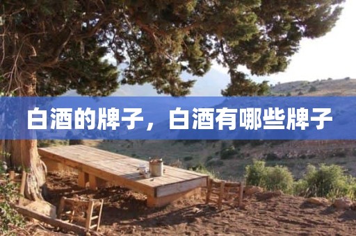 白酒的牌子，白酒有哪些牌子