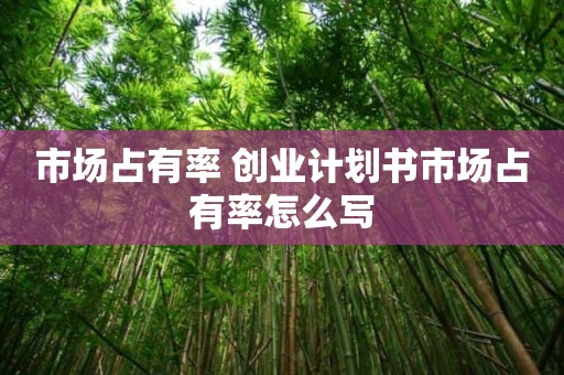 市场占有率 创业计划书市场占有率怎么写
