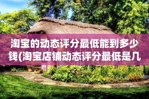 淘宝的动态评分最低能到多少钱(淘宝店铺动态评分最低是几分)