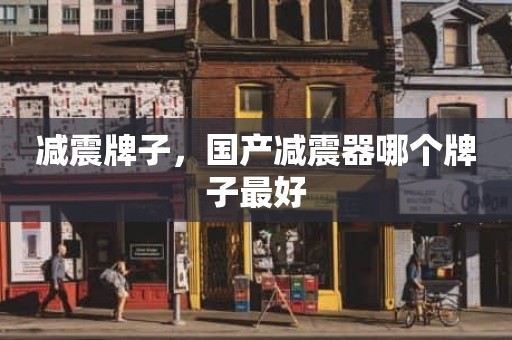 减震牌子，国产减震器哪个牌子最好
