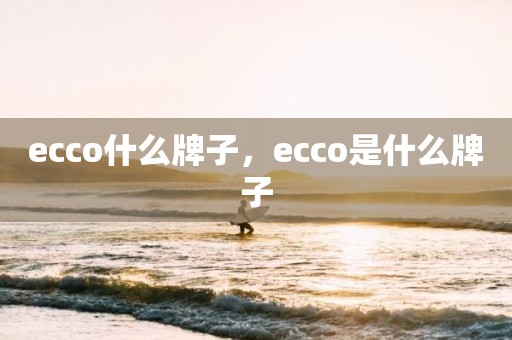 ecco什么牌子，ecco是什么牌子