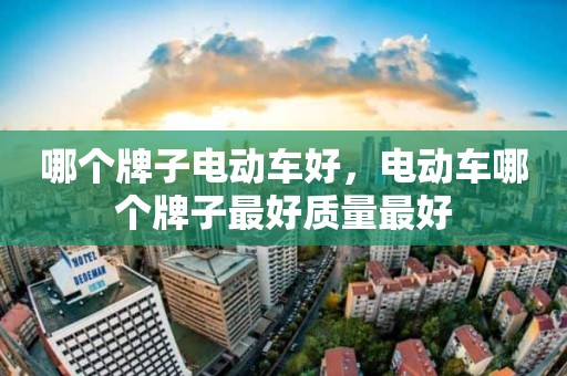 哪个牌子电动车好，电动车哪个牌子最好质量最好