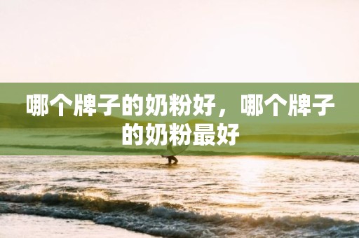 哪个牌子的奶粉好，哪个牌子的奶粉最好